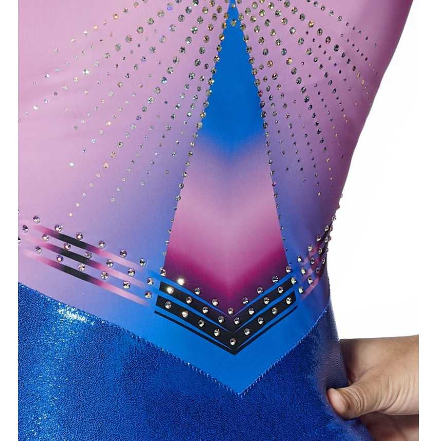 Justaucorps Léonis Bleu et Rose