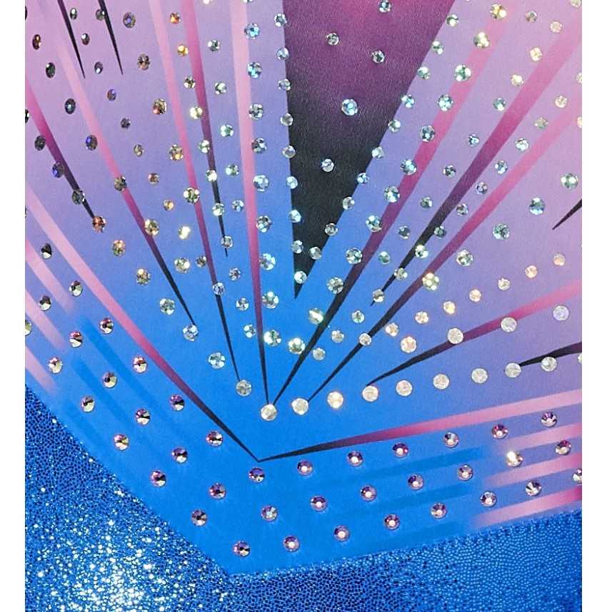 Justaucorps Léonis Bleu et Rose